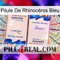 Pilule De Rhinocéros Bleu kamagra1